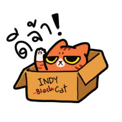 แมวส้ม [INDY Cosplay]