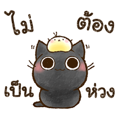 ～น้องแมวโอฮากิ ให้กำลังใจ～