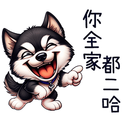 好二哈-日常白目篇