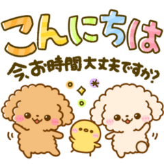 トイプードル♡大人可愛いデカ文字