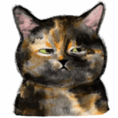 My cat ! (tortoiseshell)