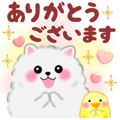 一年中使えるポメラニアンぽちゃん