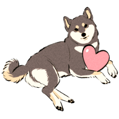 好きが溢れる柴犬さん -黒柴-