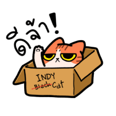 แมวขาวส้ม [INDY Cosplay]