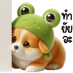 คอร์กี้กบ อ๊บ อ๊บ