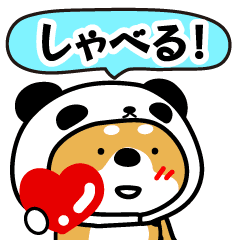しゃべる♪柴犬パンダ。