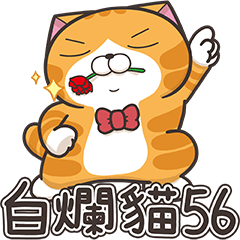 白爛貓56☆超頑皮☆