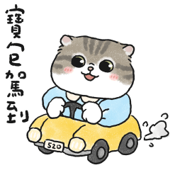 任性小寶包奶油小生 (虎斑貓) 修正