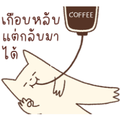 น้องแมวมูจู