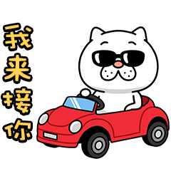 煩人的貓咪★用於家庭溝通