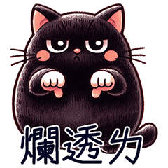 好肥黑貓-日常小嗆辣篇