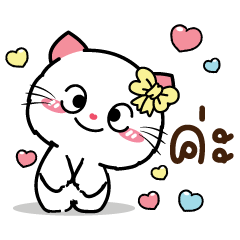 แมวน้อย : น่ารักทุกวัน