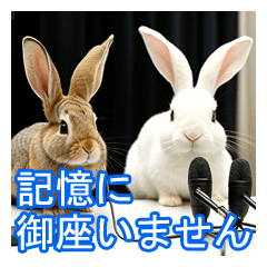 物忘れの激しいうさぎたち