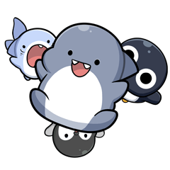 Shahimi shark gathered together
