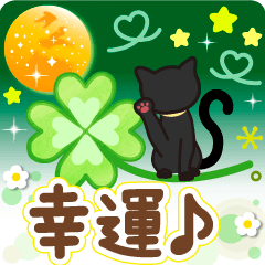飛び出す！幸運を招くクローバーと黒猫