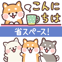 ころころ柴犬 スリムな敬語！