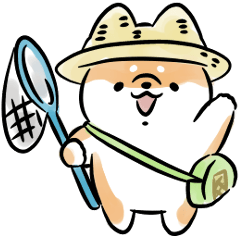 Active Shiba Inu Dog