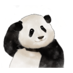 歡迎三度光臨My!熊貓樂園