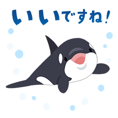 オルカの毎日使えるスタンプ