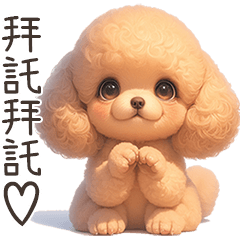 萌萌小貴賓