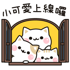 善解人意的貓貓 日常聯繫篇
