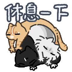 三喵行