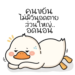 พะโล้ห่านน่ารัก & เดอะแก๊งค์ V.2