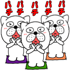 【組み合わせ】ぶさいく犬30