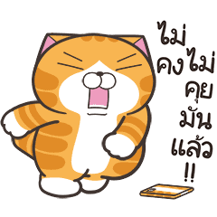 เหมียวซ่า : น่าหยุมหัว