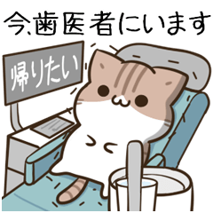 毎日五月病なねこたち&いま何してる？