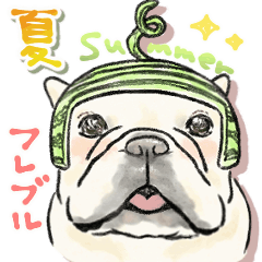 夏天的法國鬥牛犬