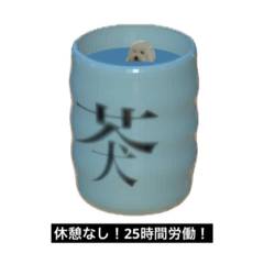 KAINUSHI_20240709211754