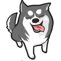 嗨！哈士奇