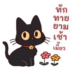 แมวดำ⭐เบล ใช้ประจำวัน2