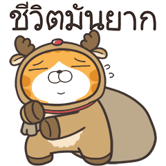 เหมียวซ่า : ซานต้ามาแล้ว!