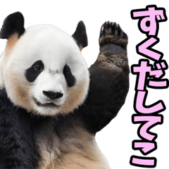長野弁☆パンダ