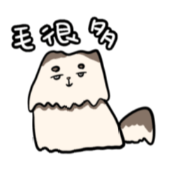 死魚眼貓-這裡也痛那裡也痛