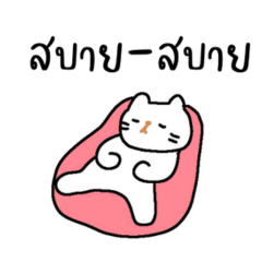 น้องแมว คำพูดน่ารัก คุยทุกวัน