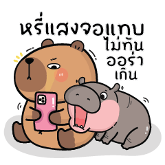 คาปิบาร่าเอง V.14 : คาปิบาร่า & หมูดึ๋ง