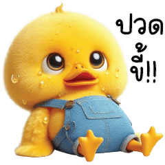 เป็ดน้อยชุดยีนส์