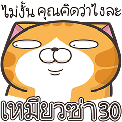เหมียวซ่า 30 (Thai version)