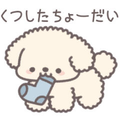 うちのかわいいトイプードル（クリーム）