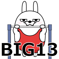 BIG 擦れうさぎ13