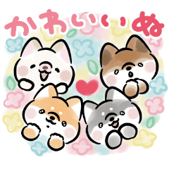 Shiba Inu Dog<Gag4>