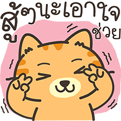 แก๊งค์เหมียว : คำใช้ได้ทุกวัน V.3