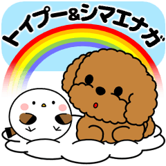 飛び出す！トイプー＆ぽっちゃりシマエナガ