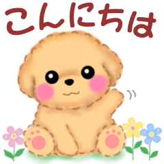 かわいいbabyトイプードル