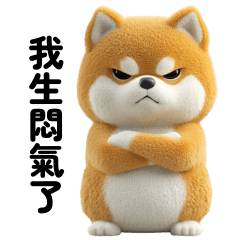 可愛的柴犬!!