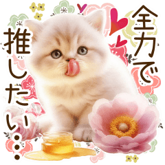 ずっと使える北欧柄と優しい水彩のねこ✿.*