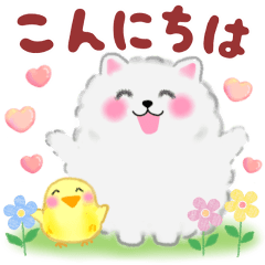 ポメラニアン「ぽちゃん」優しい敬語